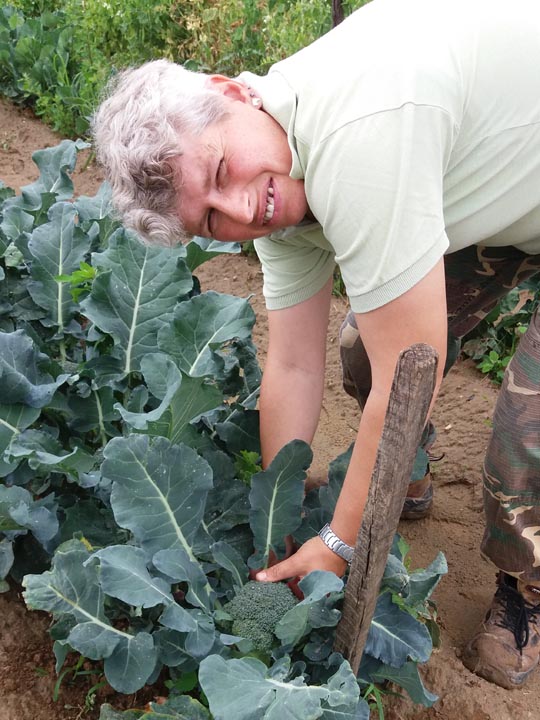 Verdura - Azienda Agricola Donatella Occhetti