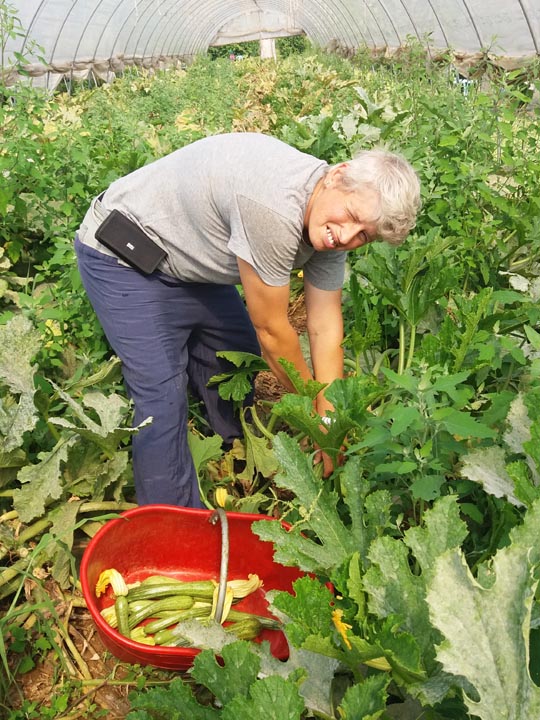 Verdura - Azienda Agricola Donatella Occhetti