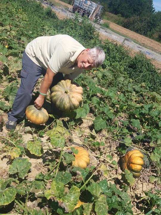 Verdura - Azienda Agricola Donatella Occhetti