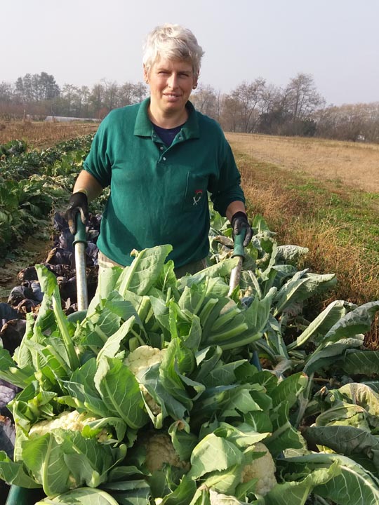 Verdura - Azienda Agricola Donatella Occhetti