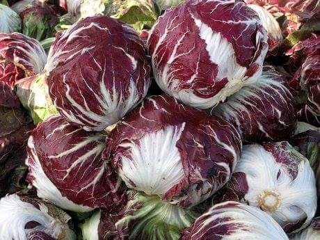Verdura - Azienda Agricola Donatella Occhetti