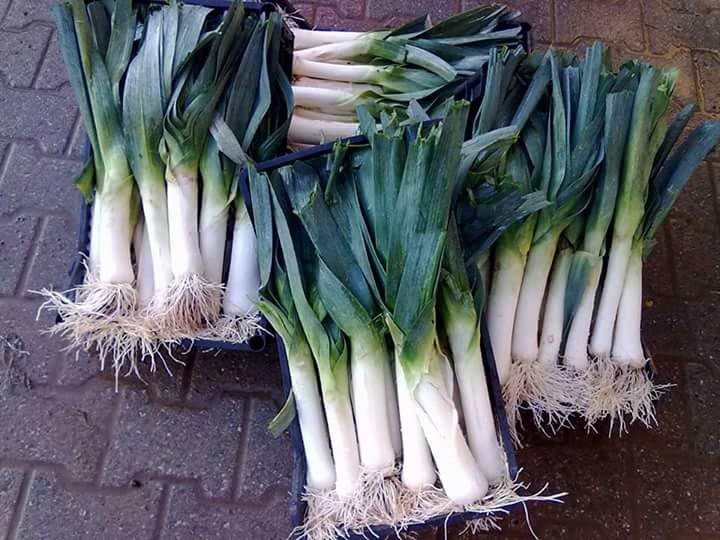 Verdura - Azienda Agricola Donatella Occhetti