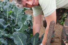 Verdura - Azienda Agricola Donatella Occhetti