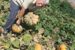 Verdura - Azienda Agricola Donatella Occhetti