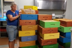 Miele - Azienda Agricola Donatella Occhetti