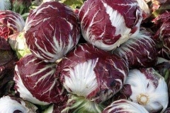 Verdura - Azienda Agricola Donatella Occhetti