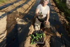 Verdura - Azienda Agricola Donatella Occhetti